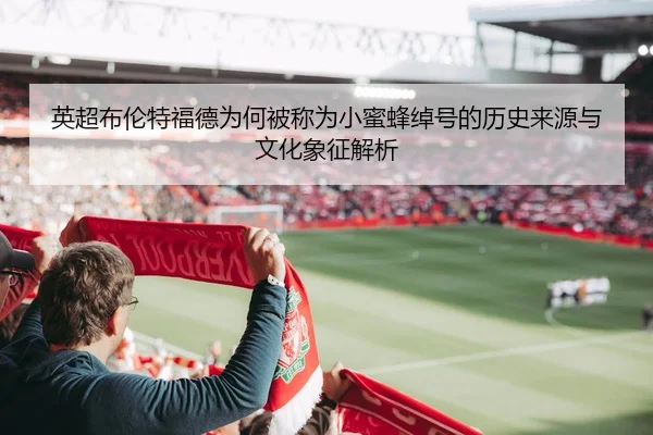 英超布伦特福德为何被称为小蜜蜂绰号的历史来源与文化象征解析