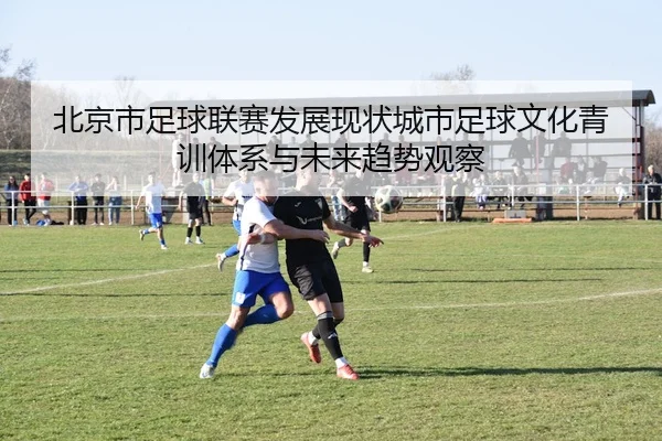 北京市足球联赛发展现状城市足球文化青训体系与未来趋势观察