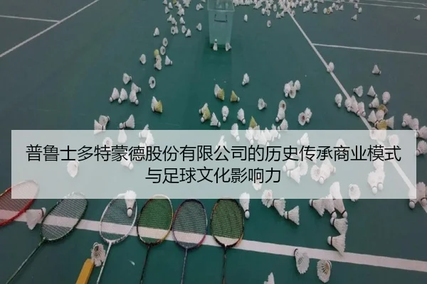 普鲁士多特蒙德股份有限公司的历史传承商业模式与足球文化影响力